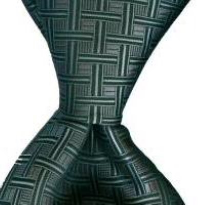 Cadouri : cravata model 37